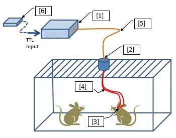 Optogenetics Toolbox