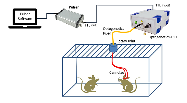 Pulser diagram